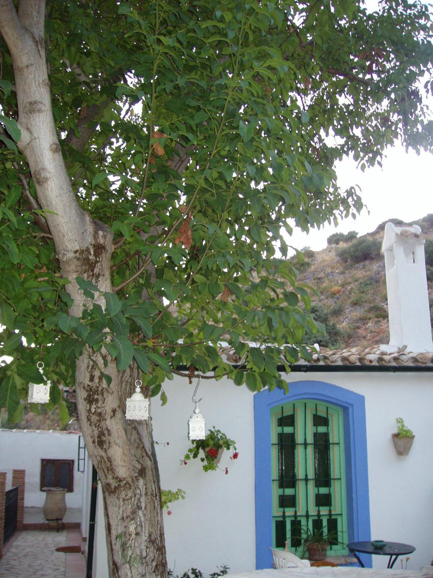 Gasthaus El Rincon De Carmen Rute Exterior foto